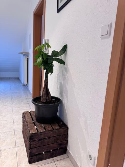 Ferienwohnung Casa Italia Oberasbach Exterior foto